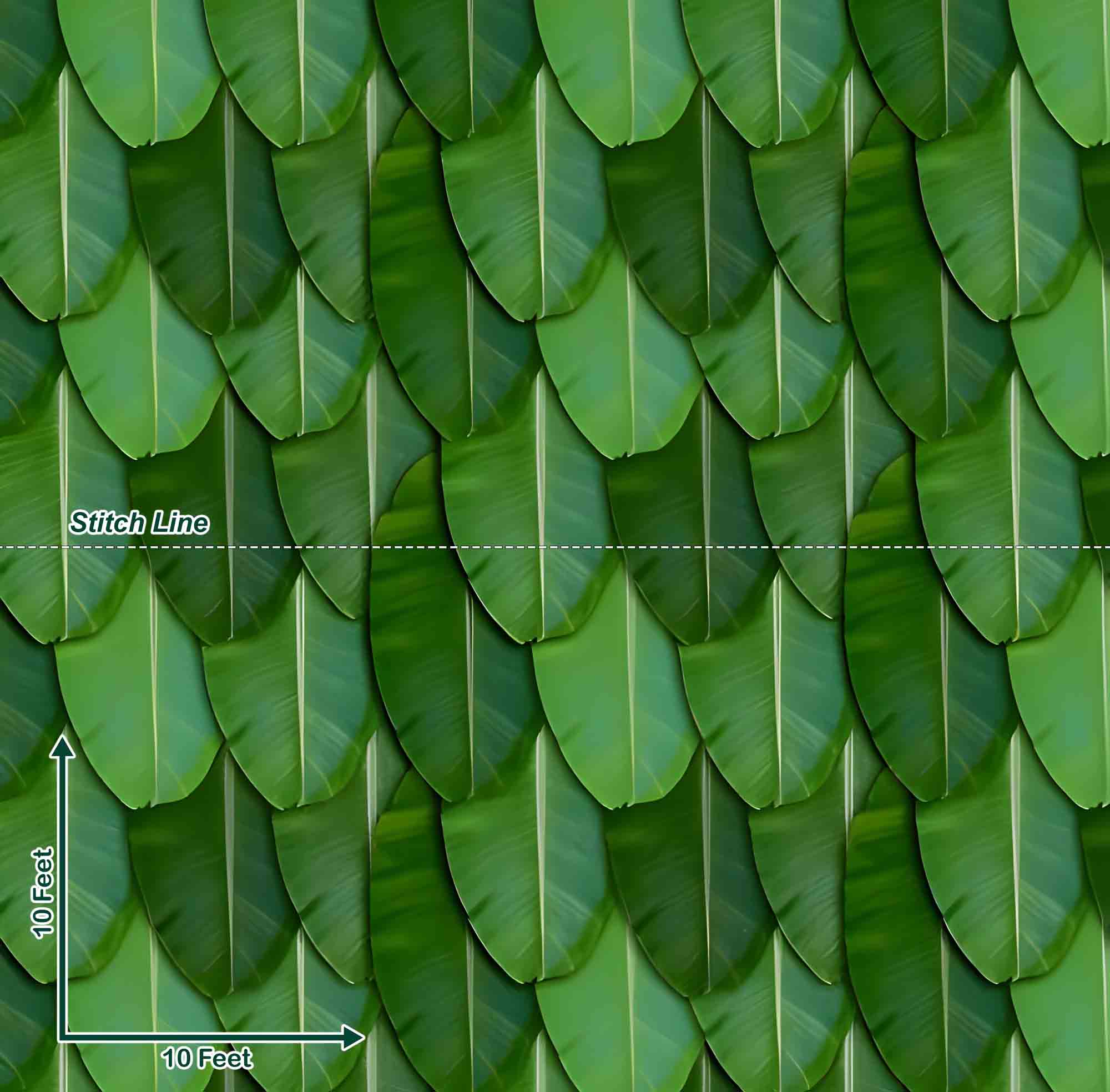Banana Leaf - Pre Order Banana Leaf - Pre Order