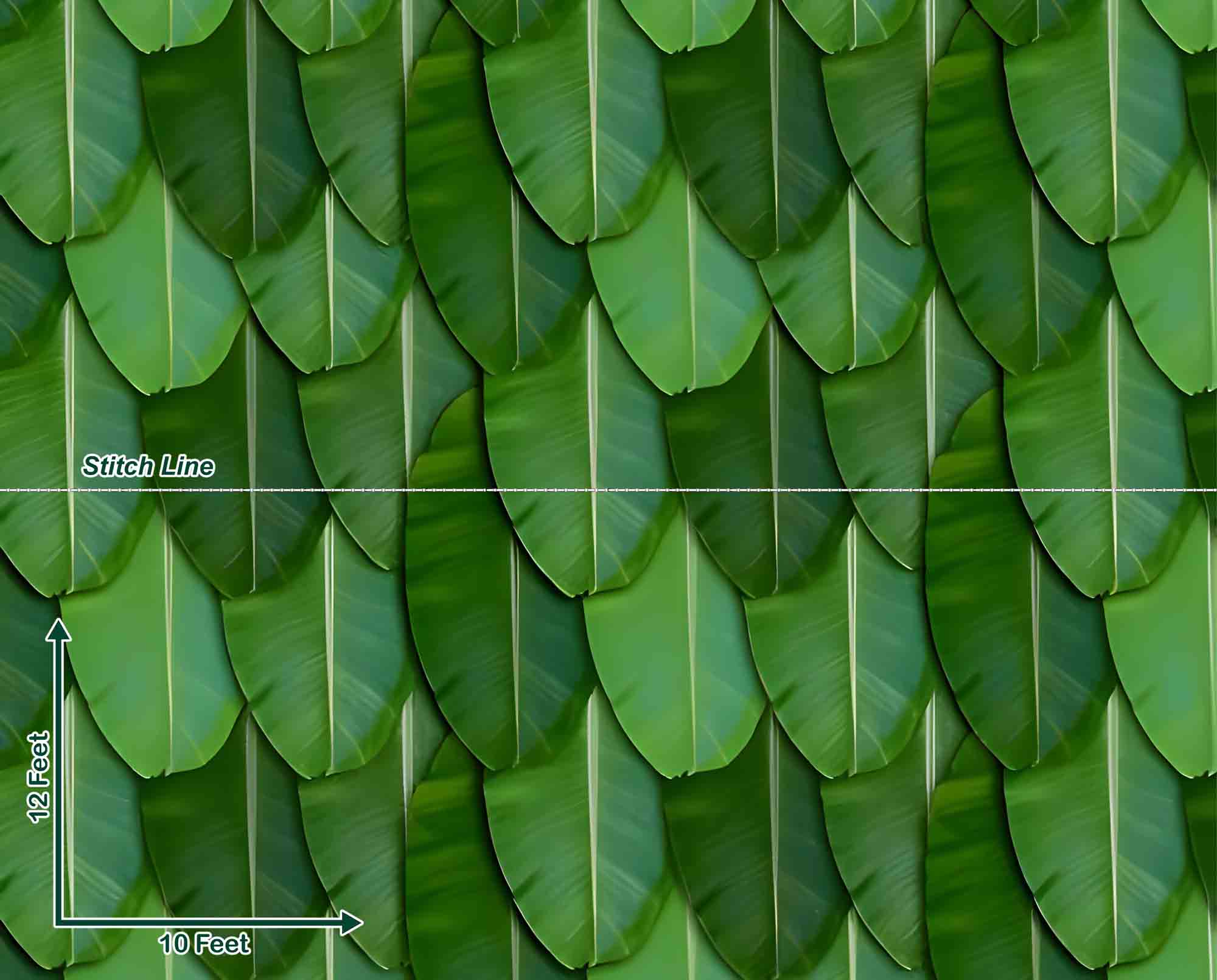 Banana Leaf - Pre Order Banana Leaf - Pre Order